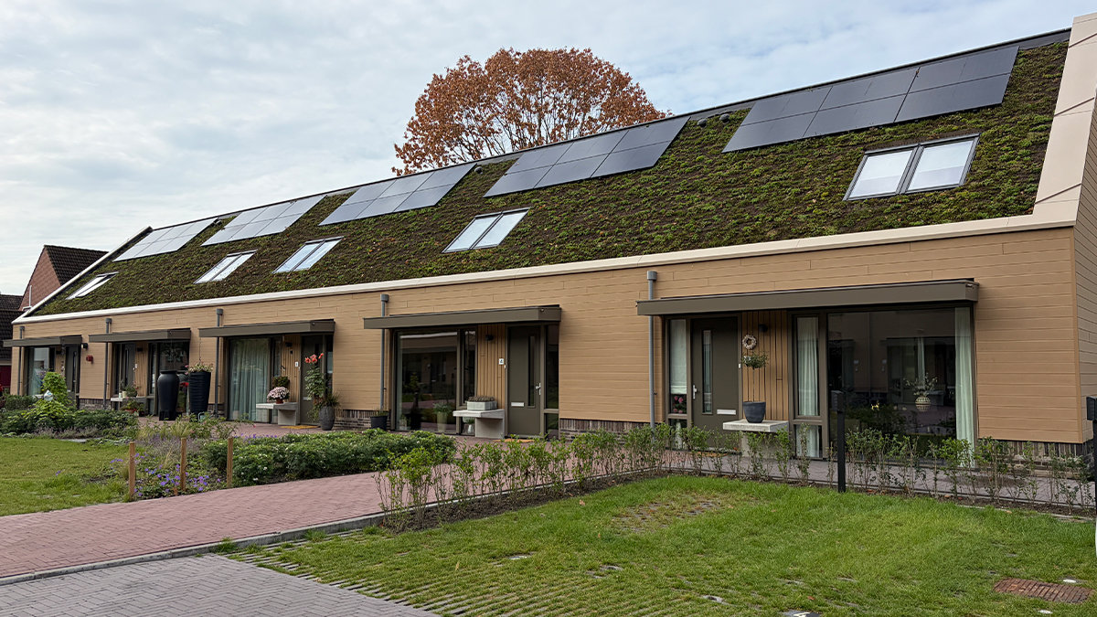 BS086   Stout   Interview   zonder tekst 2  1200x675