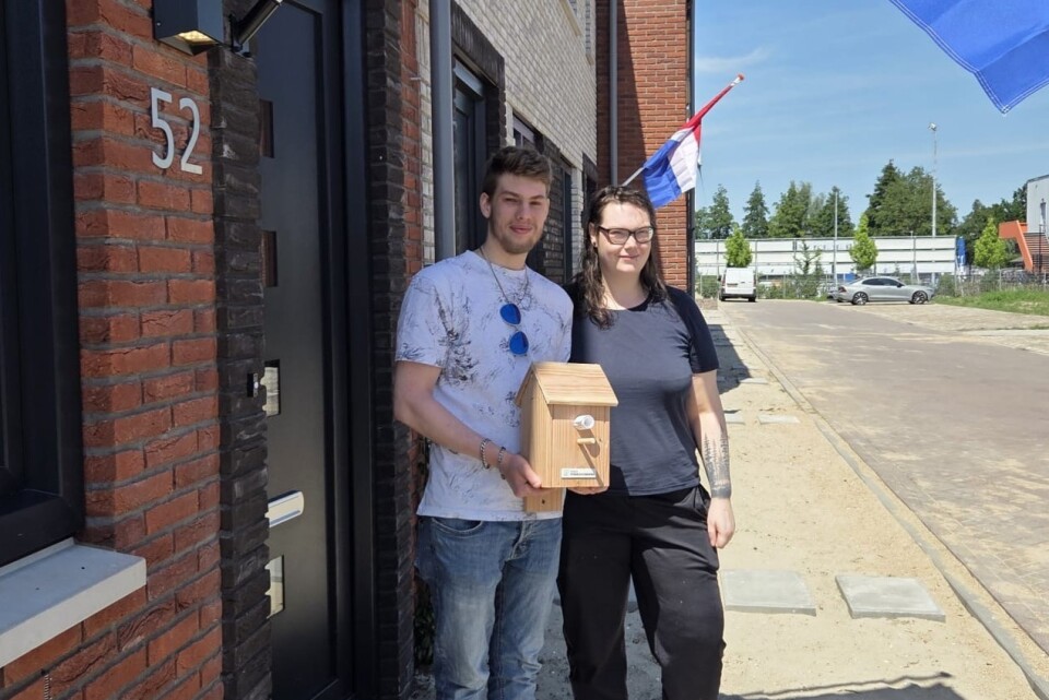 Meesterlijk vogelhuis oplevering 3.1